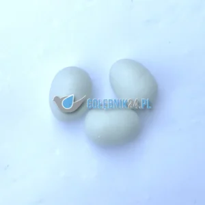 Jajka podkładowe dla gołębi pełne - 1 szt