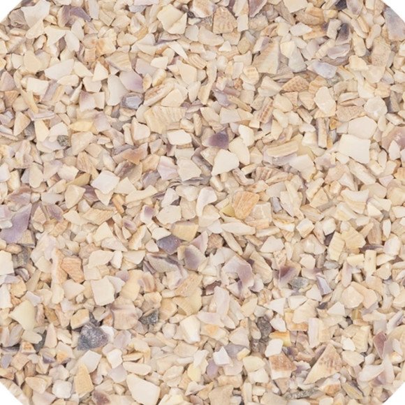 Muszla drobna - 5 kg