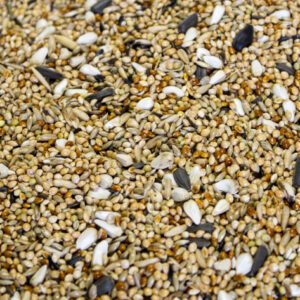 Papuga Falista - 20 kg