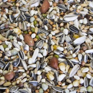 Papuga Duża Prima - 20 kg