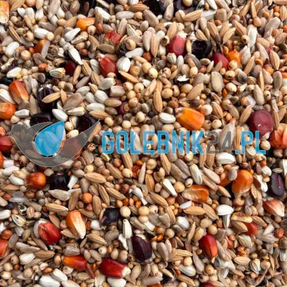 ProBio - Pro 3 Energetyczna - 25 kg