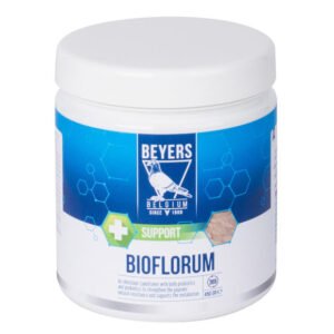 Beyers - Bioflorum (odżywka jelitowa) - 450 g