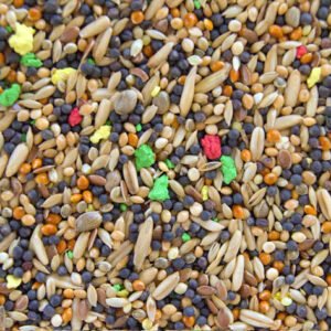 Kanarek Uniwersalna - 20 kg