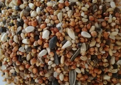 Best Natural - Krótkodzioby - 20 kg - obrazek 2