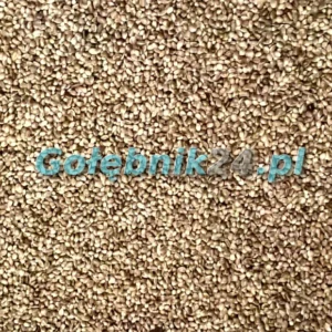 Spinne - Konopie - 1 kg