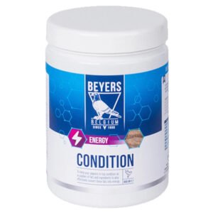 Beyers Condition 600 g preparat kondycyjny dla gołębi