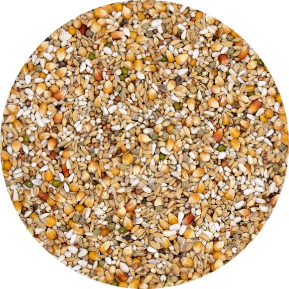 Versele-Laga - Gerry Plus (lekkostrawna) - 20 kg - obrazek 2
